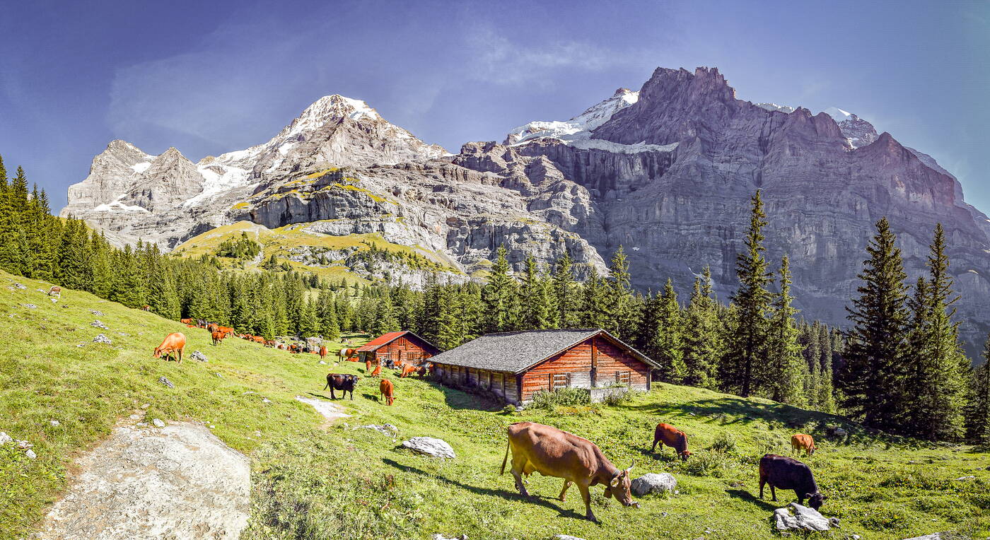 Nos forfaits le hôtel Silberhorn